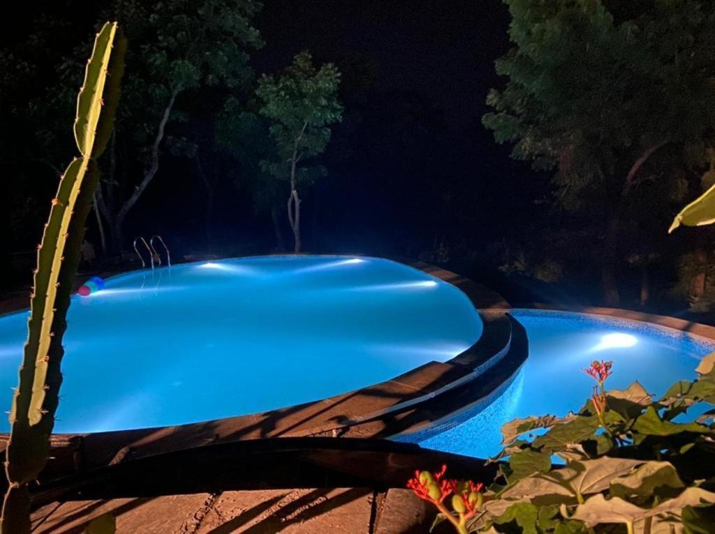 Amaltas Villa Udaipur Eksteriør bilde