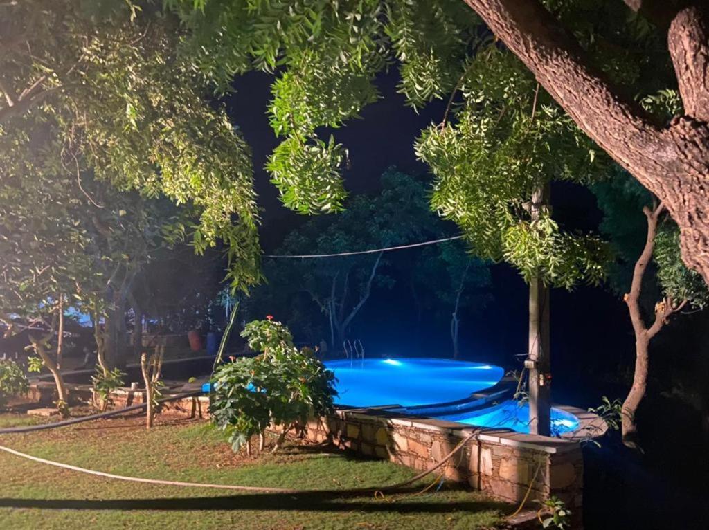 Amaltas Villa Udaipur Eksteriør bilde
